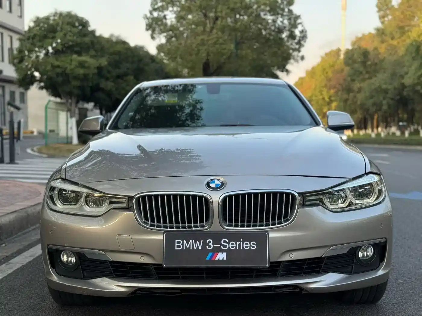 BMW 3 Series 2018 320Li Fashion Style фото 2