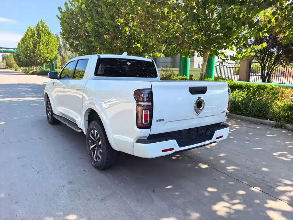 Great Wall Pao 2025 2024 Model 2.4T Passenger Version Automatic Diesel 4WD Comfort Type