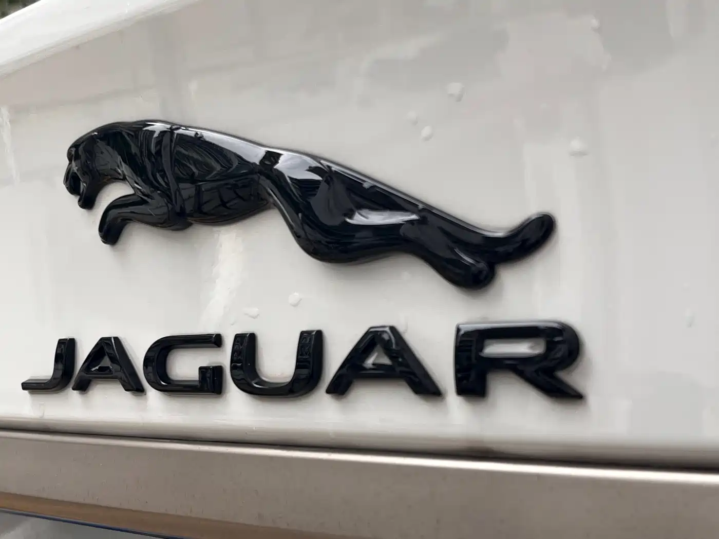 Jaguar XFL 2024 2024 2.0T P300 AWD Flagship Sport Gilded Edition