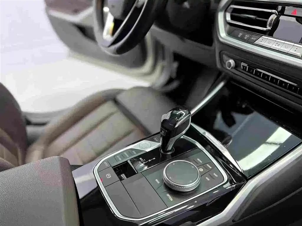 BMW 3 Series 2020 325Li Launch Edition фото 13