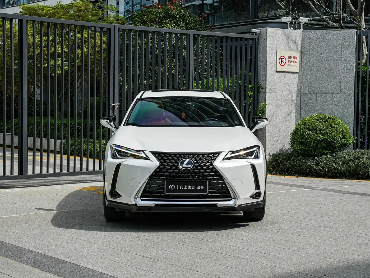 Lexus UX 2020 200 Special Edition фото 2