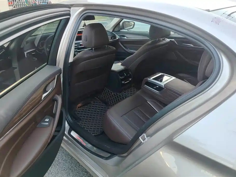 BMW 5 Series 2019 530Li Premium Luxury Package фото 11