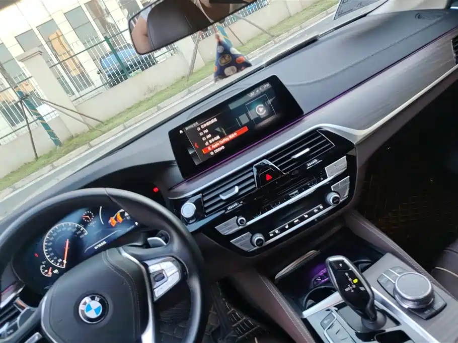 BMW 5 Series 2019 530Li Premium Luxury Package фото 12