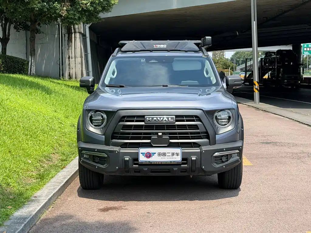 Haval Big Dog 2025 2024 2.0T DCT Chinese Rural Dog Edition