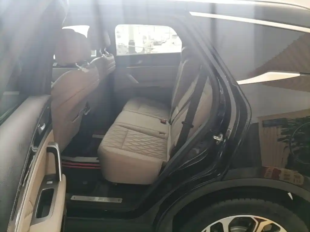 BYD Tang New Energy 2025 2025 Smart Driving Edition DM-i 115KM Flagship