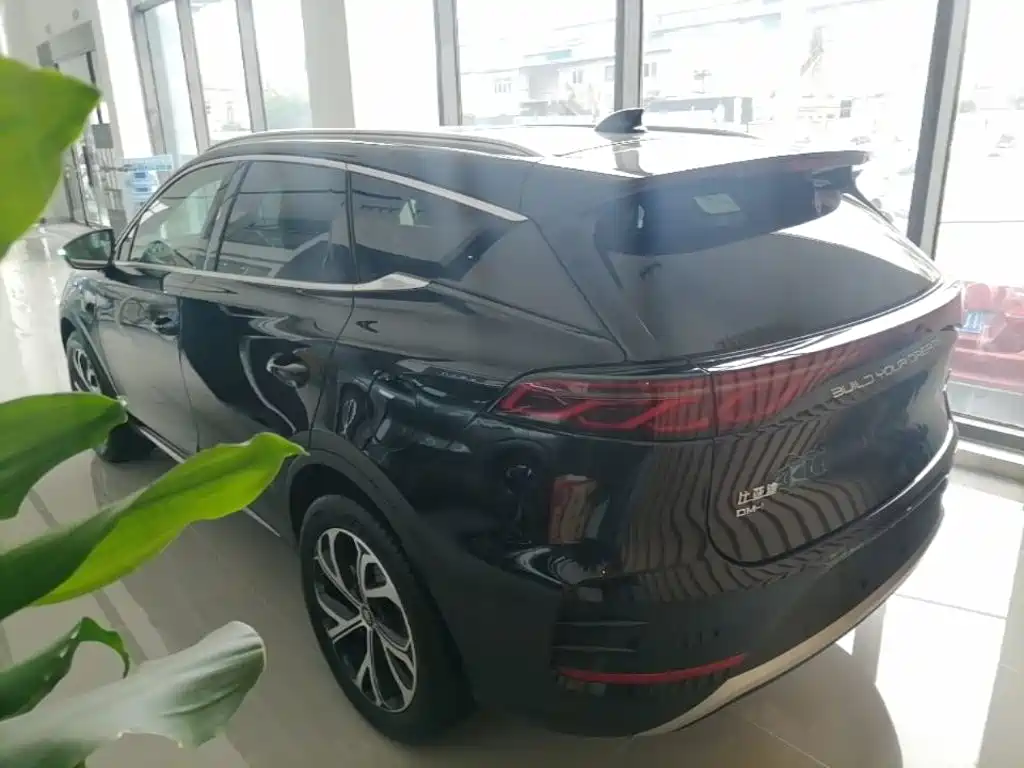 BYD Tang New Energy 2025 2025 Smart Driving Edition DM-i 115KM Flagship