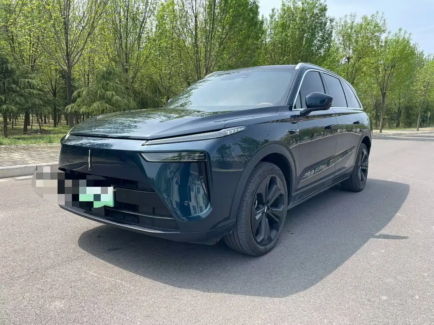 WEI PAI WEI BRAND BLUE MOUNTAIN