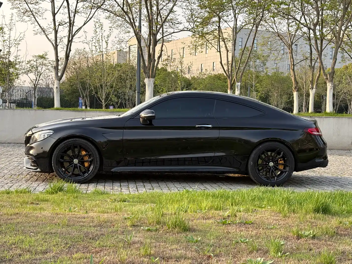 Mercedes-Benz C-Class AMG 2019 AMG C 63 Coupe фото 8