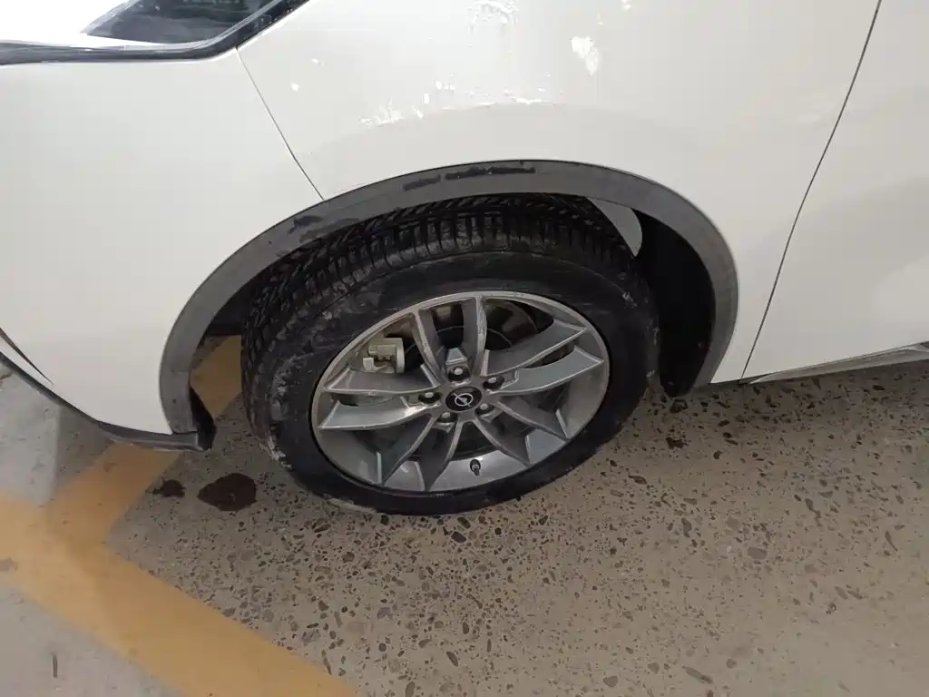 Фото 23 - Haima 7X
