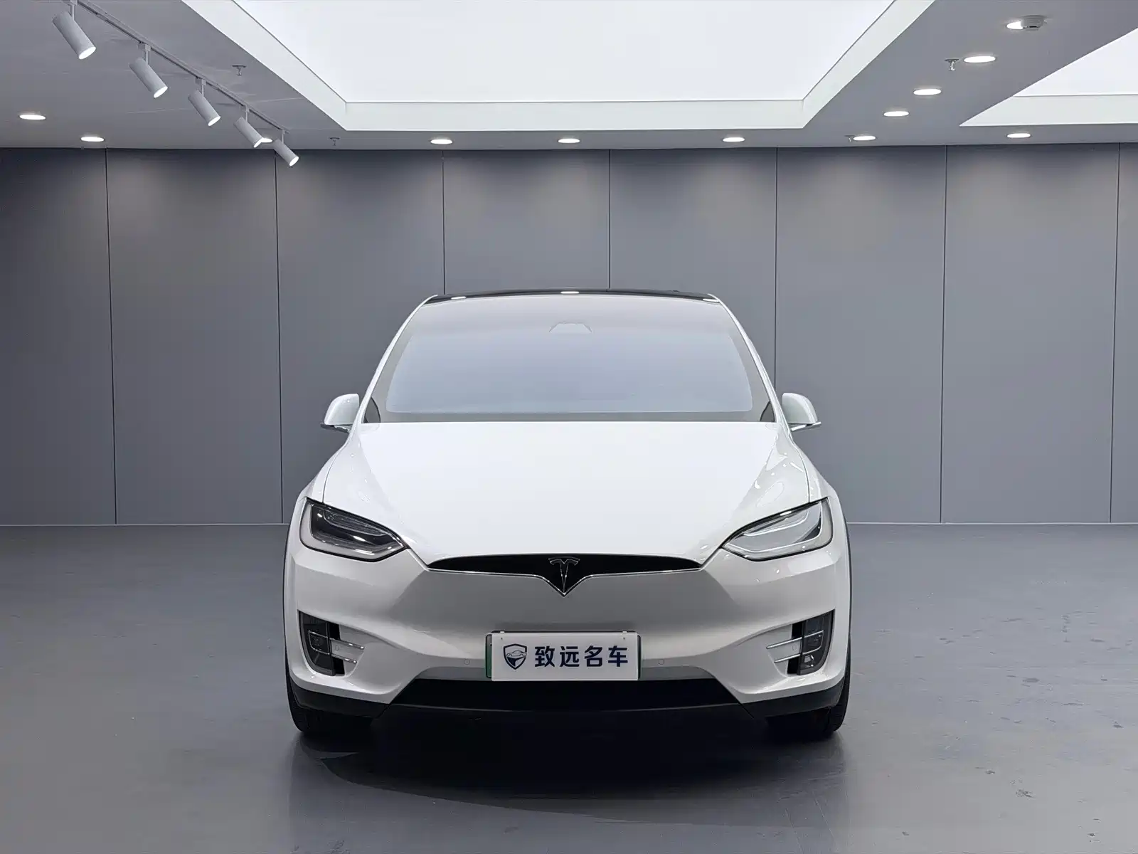 Фото 2 - Tesla Model X