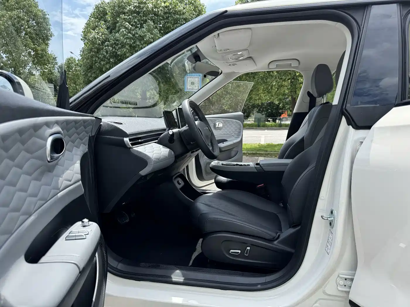 Dongfeng Yipai Nano 01 2025 2024 330 Plus Smart+