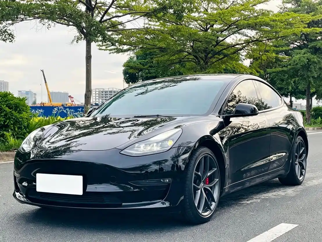 Tesla Model 3 2021