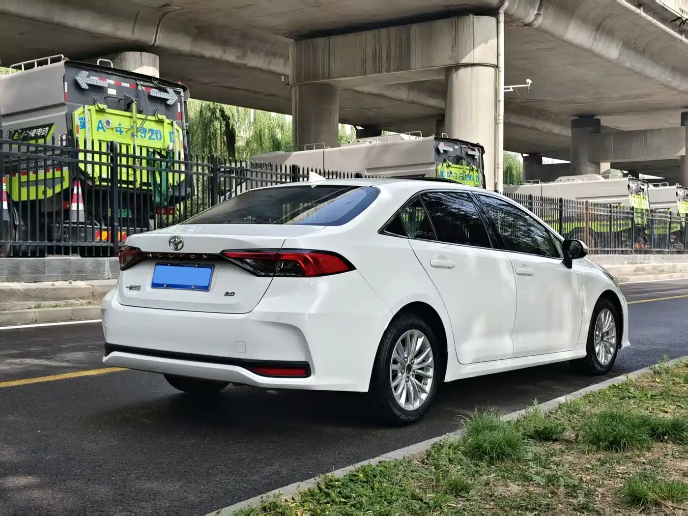 TOYOTA ASIAN LION