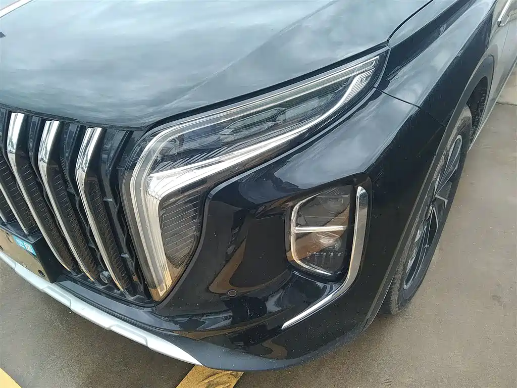 Hongqi HS7 PHEV 2024 2.0T PHEV 4WD Flagship Edition 6-seater фото 24