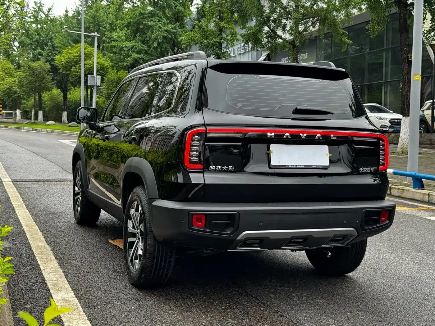 Haval Big Dog 2024 1.5T DCT Border Collie Edition фото 24