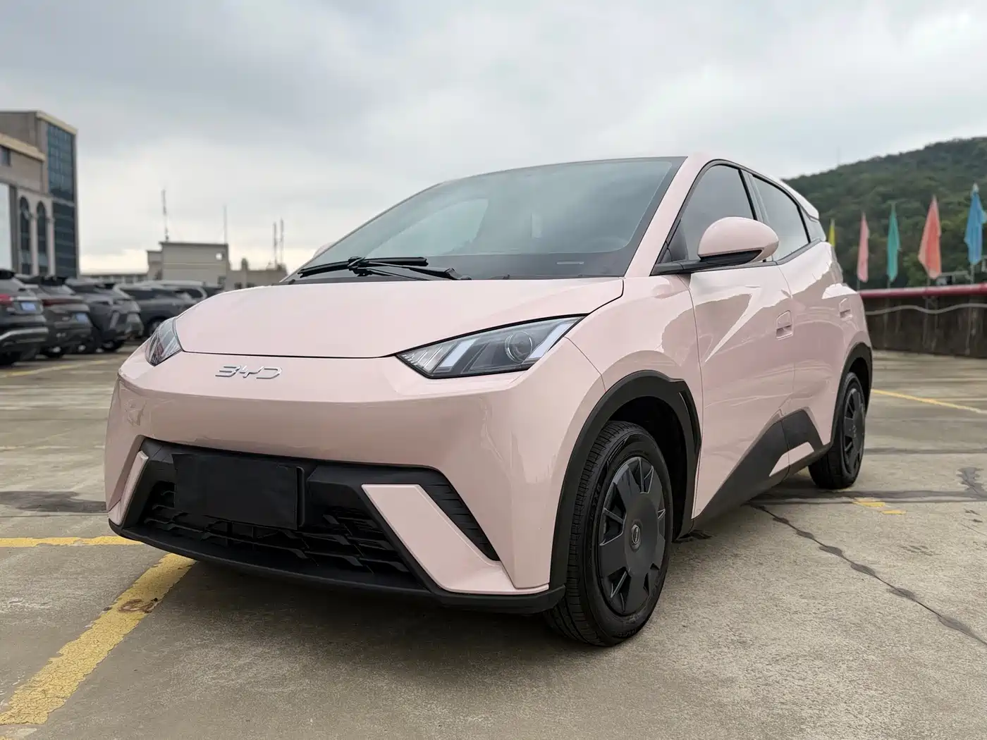 BYD Seagull 2024 Glory Edition 305km Vitality Edition