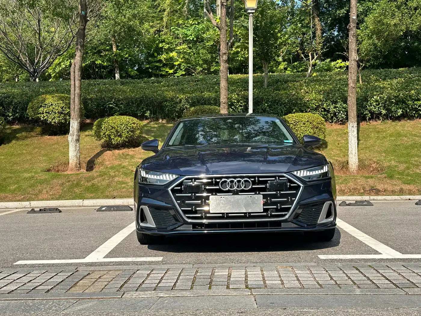 Audi Audi A7L 2024 45TFSI S-line Dream Edition Crystal Package