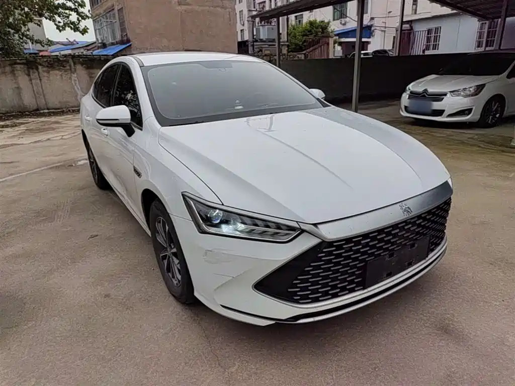 BYD Qin PLUS 2023 Champion Edition DM-i 55KM Leading фото 4