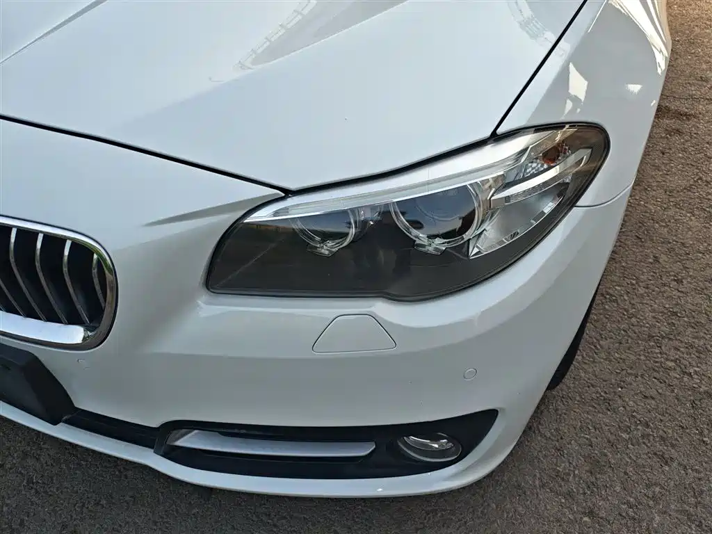BMW 5 Series 2014 525Li Leading фото 18