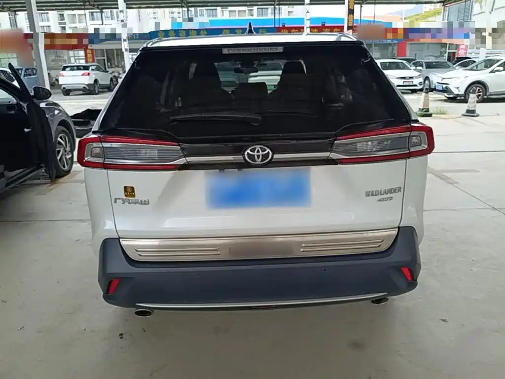 Toyota Wildlander 2021 2.0L CVT 4WD Luxury Edition фото 6