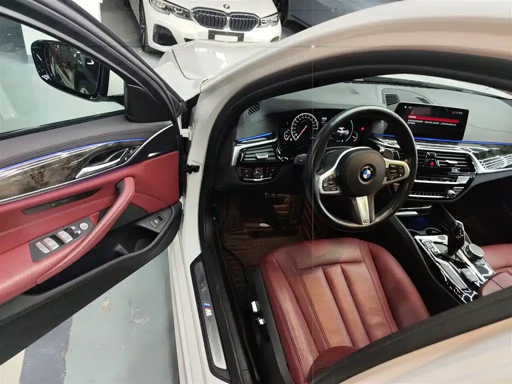 BMW 5 Series 2019 530Li Leading M Sport Package фото 16
