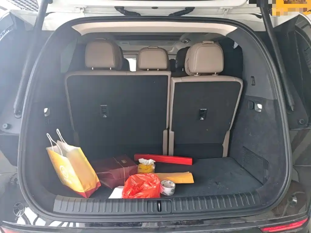 Li Auto MEGA 2025 2025 Model Home Family Special Edition