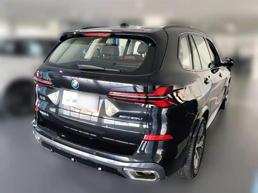BMW X5 2023 xDrive 30Li Premium M Sport Black Night Package фото 5
