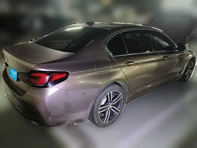 BMW 5 Series 2021 530Li Leading Luxury Package — фото 2