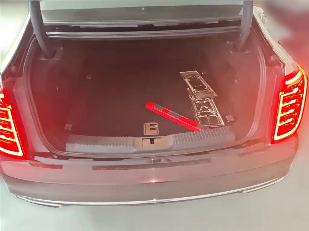 Hongqi H9 2022 2.0T Smart Connect Flag Smooth Edition фото 16
