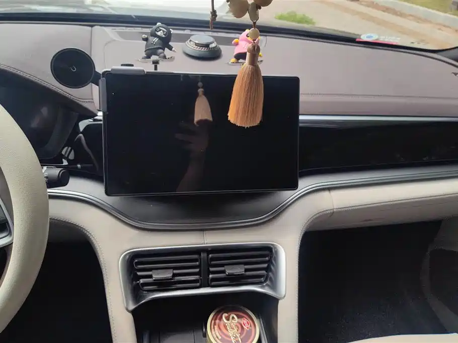 BYD SONGJIANG NEW ENERGY