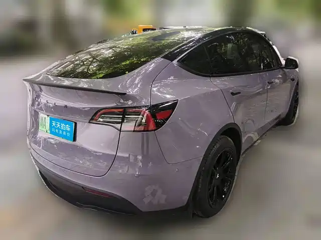 Tesla Model Y 2024 Long Range AWD — фото 2