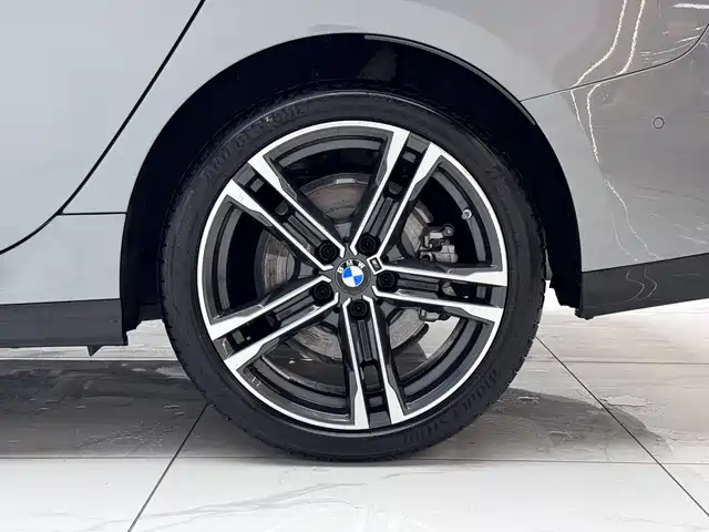 BMW 2 Series (Import) 2023 225i 4-Door Coupe M Sport Package фото 18