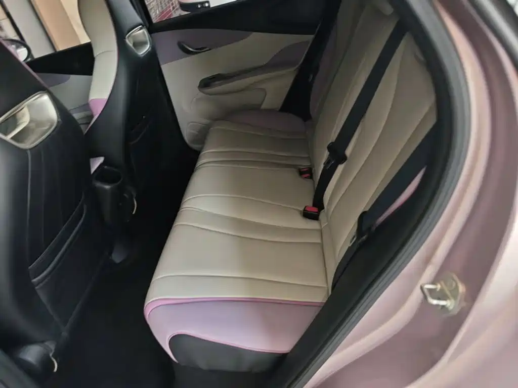 BYD Dolphin 2022 2021 Model 405km Fashion Edition