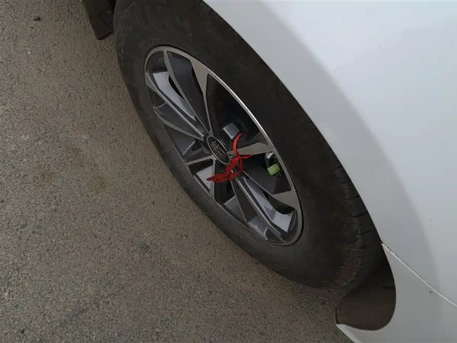 BYD Qin PLUS 2024 Glory Edition DM-i 55KM Leading фото 6