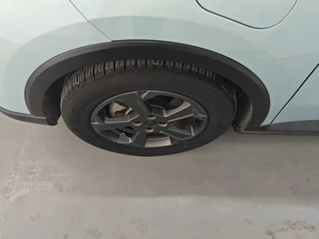 Geely Geometry E Firefly 2022 2022 401KM Delicate Tiger 4-seater