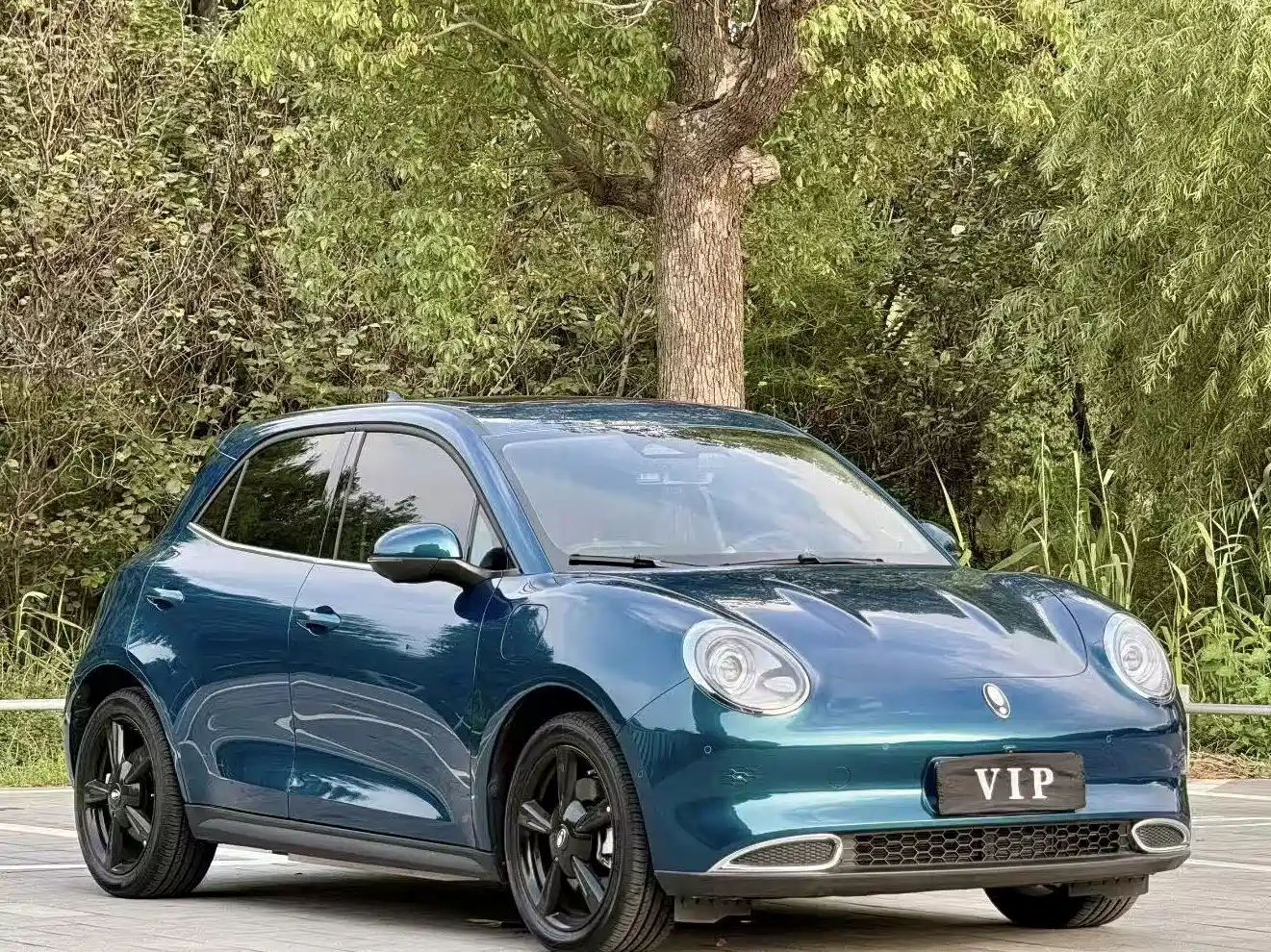 Ora Good Cat 2024 2024 401km Honor 135kW