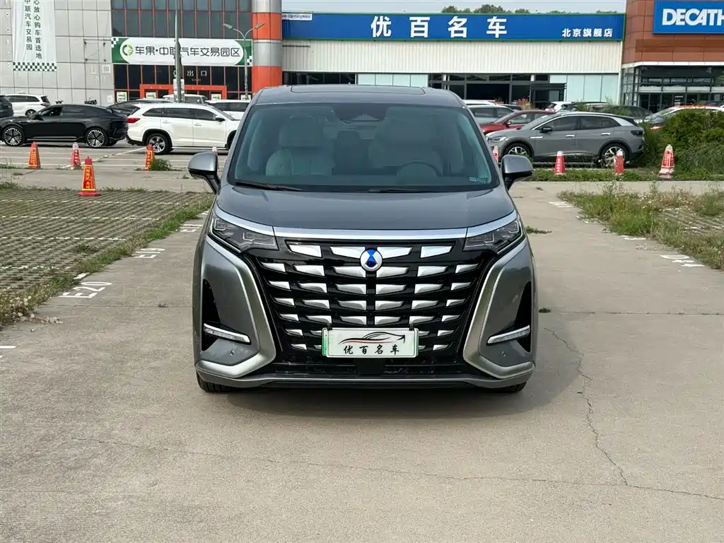 Denza D9 2022 DM-i 970 All-Wheel Drive Honor Edition фото 2