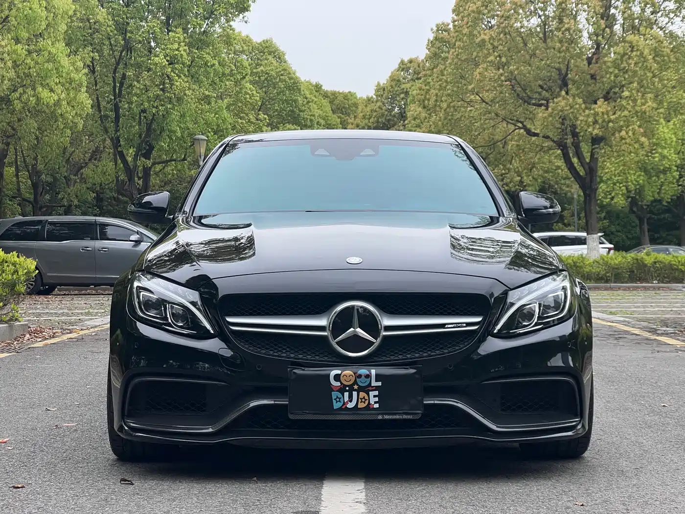 Mercedes-Benz C-Class AMG 2017 AMG C 63 фото 2