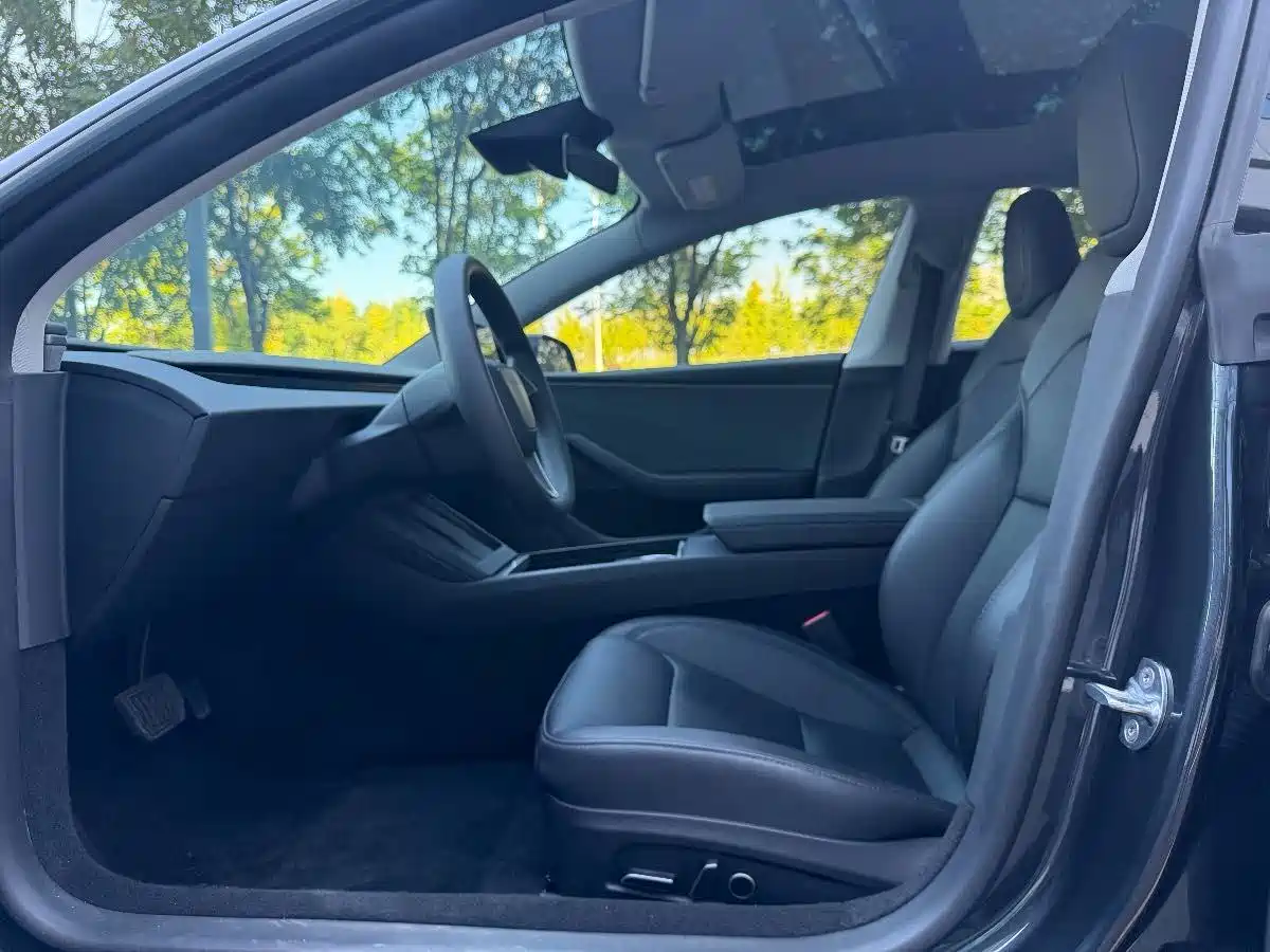 Tesla Model 3 2025 2025 Model Rear-Wheel Drive Edition