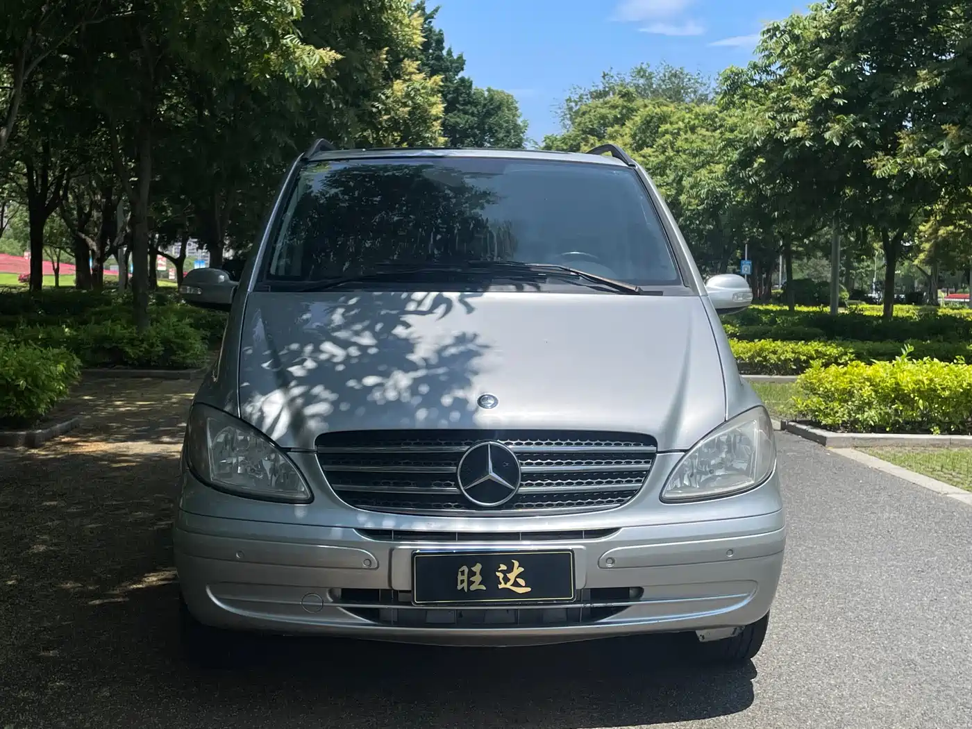 Mercedes-Benz Viano 2011 2.5L Luxury Edition фото 3