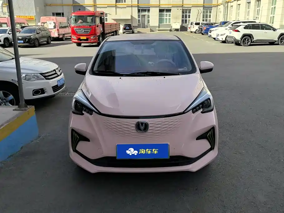 Changan Benben E-Star 2022 2022 Appreciation Edition Colorful LFP