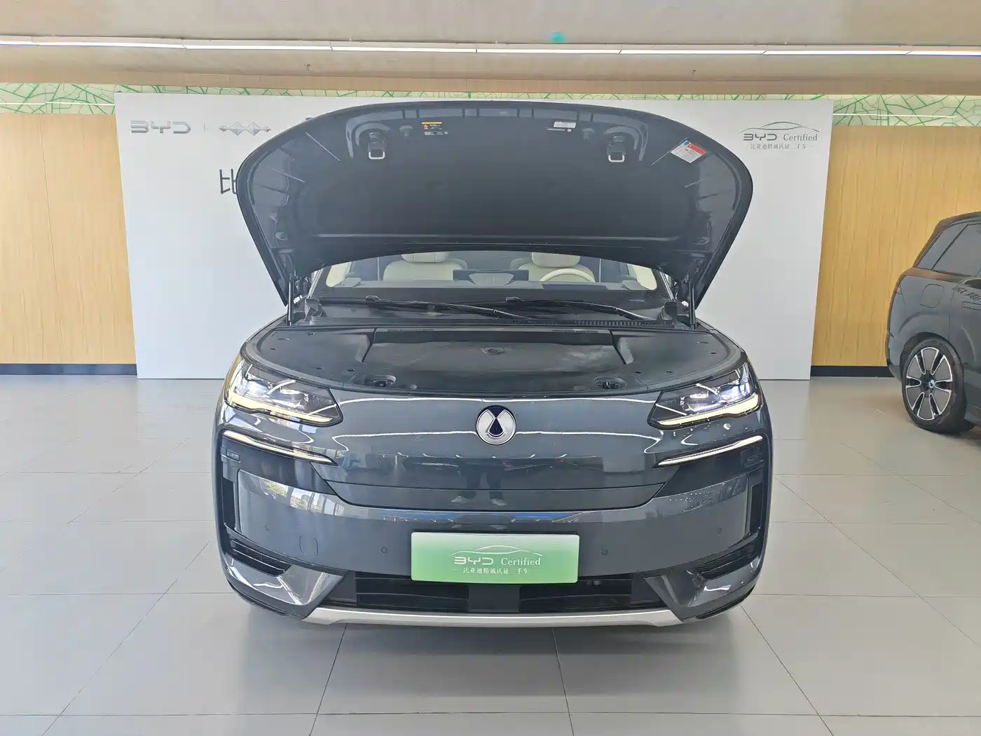2026 Denza N9