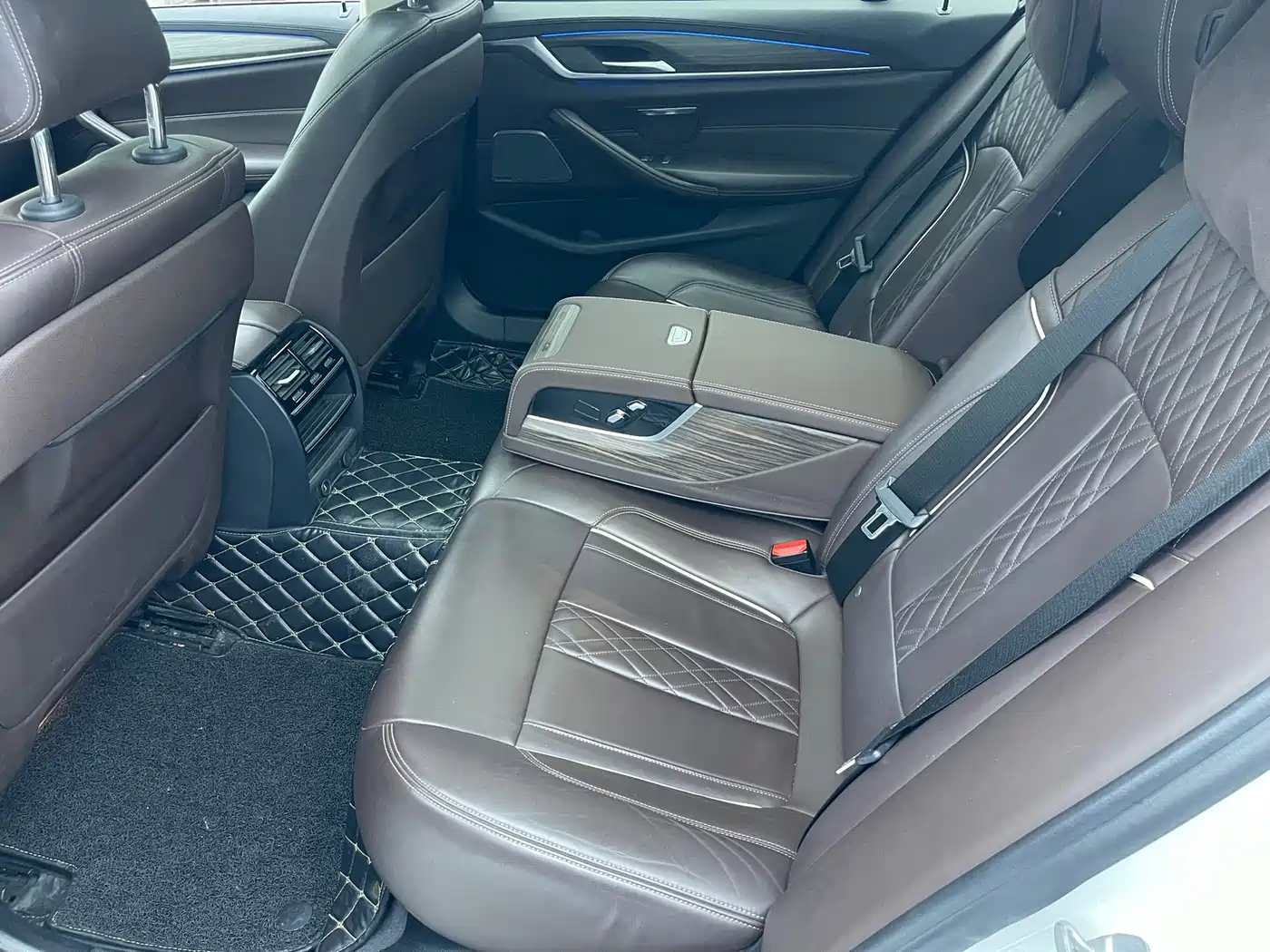BMW 5 Series 2019 530Li Leading Luxury Package фото 9