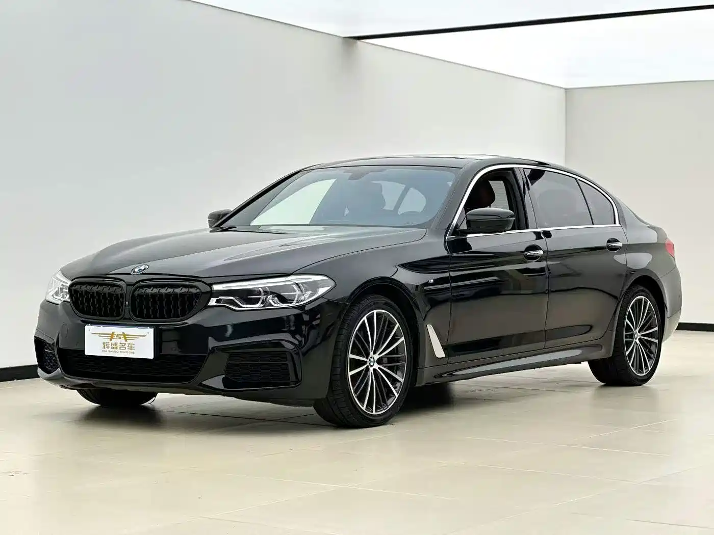 BMW 5 Series 2020 530Li Leading M Sport Package