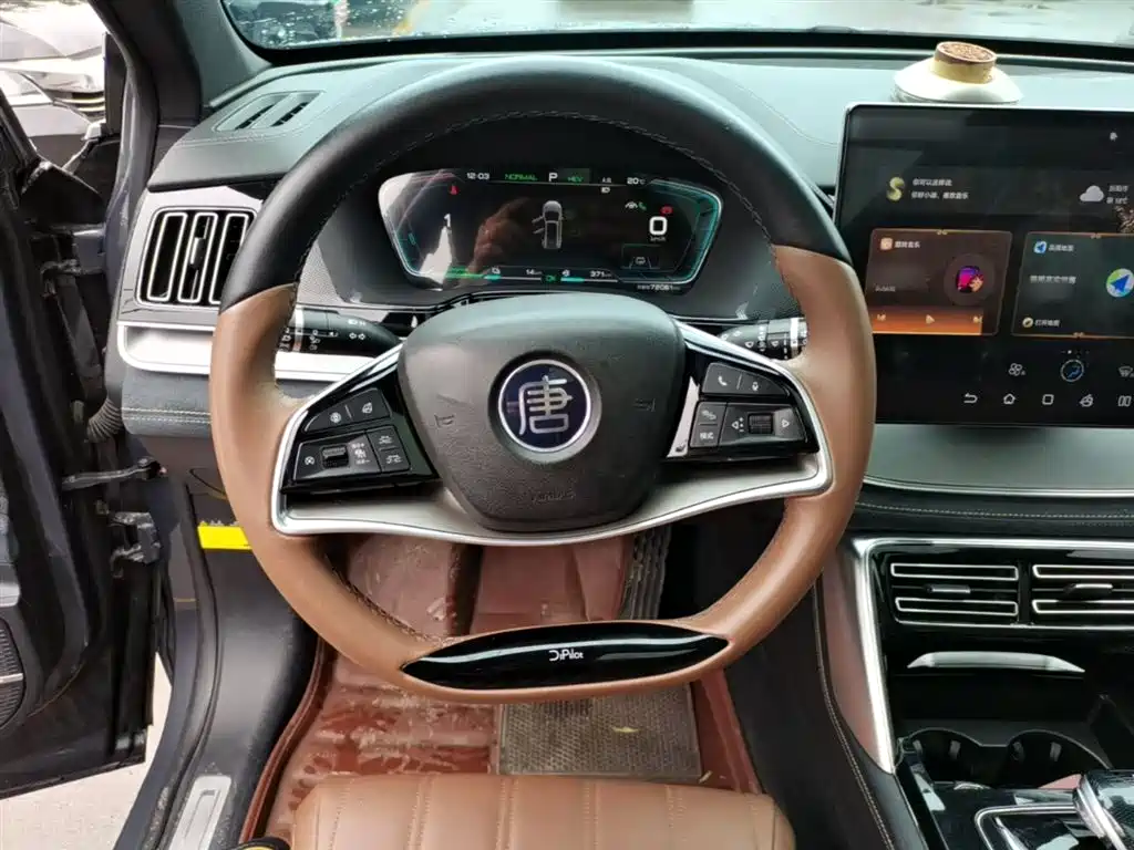 BYD Tang New Energy 2021 DM-i 112KM Honor фото 11