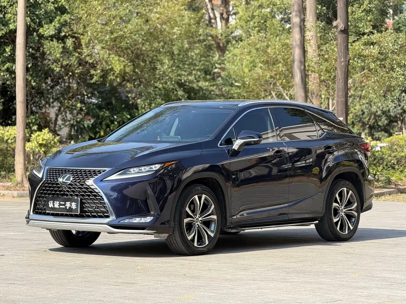 LEXUS RX
