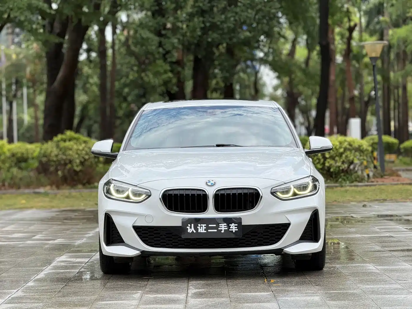 BMW 1 Series 2019 120i Leading M Sport Package фото 2