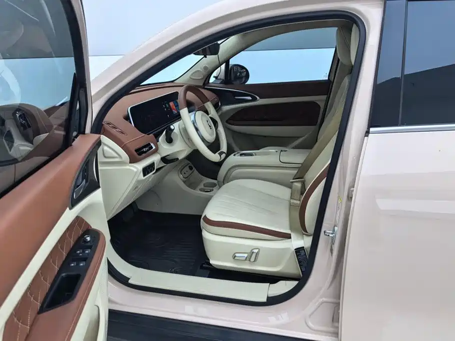 Ora Good Cat 2024 2023 401km Standard Range Luxury LFP