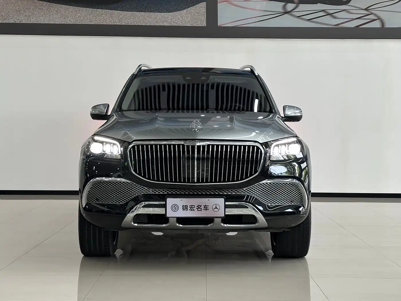 Mercedes-Benz Maybach GLS 2022 GLS 480 4MATIC фото 2