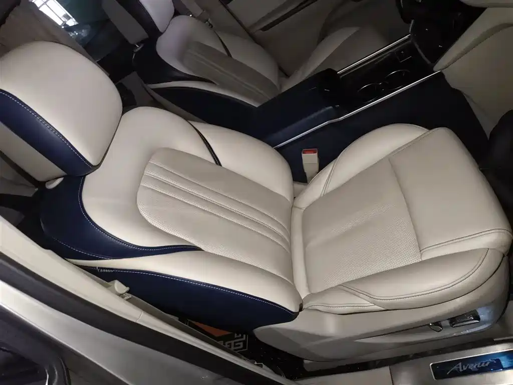Buick GL8 2021 ES Landlord 653T Comfort фото 25